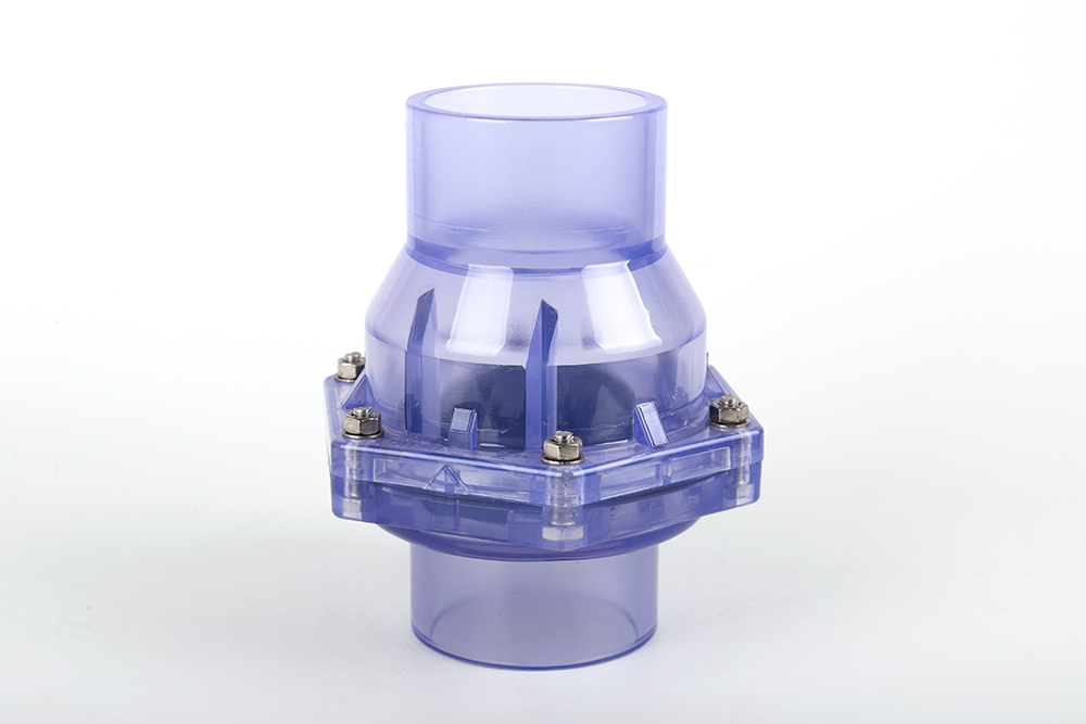 齐齐哈尔透明翻板式止回阀